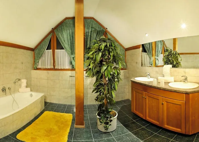 Lejlighed In Achenkirch With A Garden Achensee